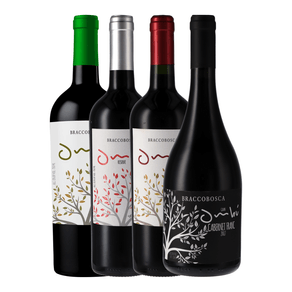 Kit-de-Vinhos-Degustacao-Uruguai-4-garrafas-750ml