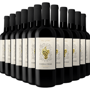 Kit-de-Vinhos-Tintos-Chilenos-Tierra-Firme-Carmenere-12-garrafas-750ml