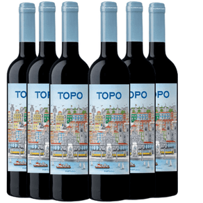 kit-de-vinhos-tintos-topo-com-6-garrafas-750ml