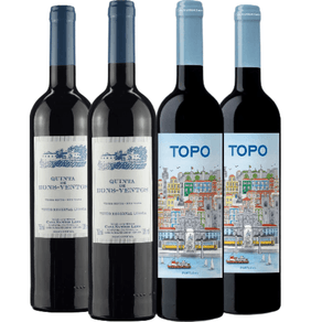 kit-de-vinho-tinto-casa-santos-lima-c-4-garrafas-750ml